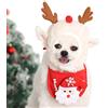 Q&A Domande e risposte Regali di Natale per cani, Cappello e sciarpa per cani per cani di piccola taglia, Cappellini per cani caldi Maglione natalizio per cani (Alce)