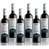 Masi Tupungato PASSO DOBLE 2022 | Vino Rosso di Argentina BIO | 6x750 ml | Appassimento Expertise | Confezione 6 bottiglie