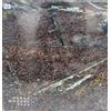[VINILE LP] Vasco Rossi "Modena Park" LP N. 1 - Editoriale