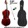 Vhienna Meister VH CEB12 Violoncello 1/2 con Accessori Custodia Archetto e Pece