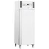 Forcar Refrigerati Frigorifero congelatore professionale statico lamiera verniciata. GNB600BT
