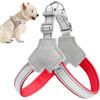 Shaersu Pettorina riflettente per animali domestici, design anti-tiro, comoda da indossare per animali domestici, accessorio per addestramento, per amanti e famiglie