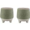 The HC Companies Fioriera, salvia, 15,2 cm (confezione da 2)