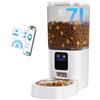 Frienhund Distributore Automatico Cibo Gatti con L'app: Distributore Automatico Cibo Cani da 7 Litri con Wi-Fi 5G, Dispenser Crocchette Gatto Programmabile per Più Animali Domestici