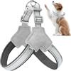 Shaersu Pettorina per animali domestici, riflettente a di Y, con clip frontale, comoda e regolabile, accessorio per addestramento per amici e amanti