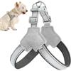 Shaersu Gilet da passeggio per cani, catarifrangente, regolabile, per addestramento e passeggiate per cuccioli, anti soffocamento, per famiglie e amici