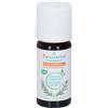 Olio Puressentiel Italia Puressentiel® Olio Essenziale Rosmarino Canforato Bio 10 ml Soluzione orale