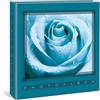 Lombardi Fotografo Album portafoto a Tasche per 100 Foto 13x19 con Memo, 1 Foto per Pagina, Interni Bianchi, Misure Album 21x21CM. (Azzurro)