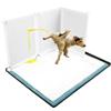 Bencacawinstyle Purrfect - Lettiera a forma di zampa con pareti alte, vasino per cani di piccola e media taglia, vassoio per tappetino anti-fuoriuscita
