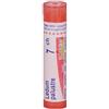 Boiron Ledum Palustre 7ch 80 Granuli 4 g Contenitore Multidose