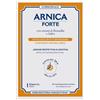 Erboristeria Magentina ARNICA FORTE CEROTTO