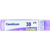 BOIRON Srl CAUSTICUM 30CH GRANULI
