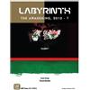 Gmt The Awakening 2010-?: Labyrinth - The War on Terror - GMT