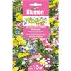 Blumen miscuglio di fiori per tutti i tipi di terreni