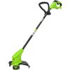 Greenworks 24V Tagliabordi a Batteria per Giardini Piccoli e Medi, Ampiezza di Taglio 25cm, Filo di Nylon da 1,65mm con Autofeed, Batteria 24V 2Ah e Caricabatterie, Garanzia 3 Anni G24LT25K2