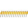 DeWalt DCN8901057 510 x Dcn890 Std Chiodi, 57 x 2.6 mm