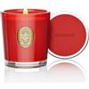 M&SENSE Candele Profumate alla Soia 290g Pomodori Ciliegini | Bruciatura Lunga 55 Ore | Vetro Non Tossico | Aromaterapia Rilassante | Regalo di Lusso per Compleanno/Festa della Mamma
