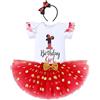 IBTOM CASTLE Abiti per il 1°/2°/3° compleanno per bambine a maniche corte pagliaccetto/t-shirt top + gonna tutù in tulle a pois fascia fascia 3 pezzi principessa festa di compleanno vestito torta