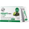 Dr Viti Drenante Forte Te Verde 28 Stick Pack Senza Zuccheri