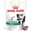 Royal Canin Treats Satiety 230 g Snack cane