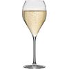 Rastal 42 cl - Franciacorta Calice Vino Bianco in Vetro - Set 6 Pezzi