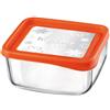 Bormioli Rocco 19x19 cm - Frigoverre Fun Contenitore Per Alimenti Quadrato In Vetro