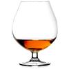 RCR Cristalleria Italiana 67 cl - Invino Calice Snifter in Vetro - Set 6 Pezzi