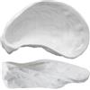 Essentia 15x9.6 cm - Oyster Coppetta In Porcellana