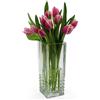 Bormioli Rocco 23 cm - Duemila Vaso In Vetro