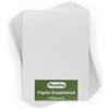 Blooming Seed Paper Carta per semi BLOOMING - 10 fogli per la semina - formato A4 150 g/m² - 21 x 30 cm - Bianca in bianco - Semi di fiori di campo biodegradabili - Per biglietti, inviti, stampe