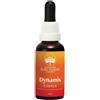 NATUR Srl DYNAMIS Spy Ess.30ml NATUR