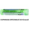 Boiron Euphrasia Officinalis 5 Ch Granuli