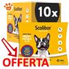 Scalibor Collare per Cani Taglia Piccola e Media 48 cm - Offerta [PREZZO A CONFEZIONE] Quantità minima 10 Confezioni