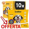 Scalibor Collare per Cani Taglia Grande 65 cm - Offerta [PREZZO A CONFEZIONE] Quantità minima 10 Confezioni