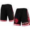 Adult Basketball Team Shorts Screen Printed Graphic S-3XL