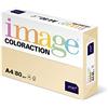 Antalis Coloraction Antalis 838A 080S 2 DIN A4 carta per fotocopie, 80 g/m², Dune