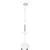 FILFEEL Lampada Da Terra Con Ingrandimento, Lampada A Luce Fredda A Led Con Ingrandimento 8X Lampada Per Estetisti, Lampada Con Lente D'Ingrandimento Regolabile Per Artigianato, Cucito, Lavoro, Tatuaggio