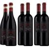 ALBINO ARMANI - Valpolicella Experience - Pack 6 Bottiglie, 2x Amarone della Valpolicella Classico DOCG, 2x Valpolicella Ripasso Classico Superiore DOC, 2x Valpolicella Classico Superiore DOCEgle
