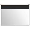 Acer E100-W01MW schermo per proiettore 2,54 m (100") 16:10