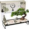 BangBangDa Decorazione per meditazione giapponese - Bonsai per ufficio - Decorazione da tavola in sabbia di Buddha - Regalo per donne, uomini, amici
