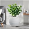 Divina Garden Vaso in resina da esterno interno per piante tondo a sfera di design d.40x33h Botticelli Bianco