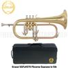 Grassi SSFLH570 Flicorno Soprano in Sib + Custodia Rigida ed accessori
