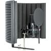 SE ELECTRONICS X1 S STUDIO Pack Kit Microfono + Shock Mount + Antipop + Filtro
