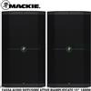 Mackie THUMP 215 COPPIA Cassa Audio Diffusore Attivo Cono 15" 1400W | DJ Karaoke