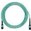 BlueOptics Cavo patch OM3 multimodale MPO-MPO compatibile X66200-30 da 30 metri