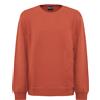 EA7 Felpa Girocollo In Cotone Organico Ginger Spice