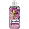 Diversey Coccolino Sensazione Seta - Ammorbidente Concentrato - 42 Lavaggi - Diversey