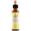 SCHWABE PHARMA ITALIA Schwabe Pharma White Chestnut Fiori Di Bach Original Rimedio Fitoterapico 20ml