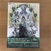 MCBN518 EXP Book Saga Emerald Beyond Official Setting Documents Strategy japan