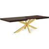 Magnetic Mobel Avia, tavolo da pranzo allungabile, tavolo da pranzo, tavolo da pranzo, tavolo da cucina, con base da tavolo Spider (tavolo: oro, noce)